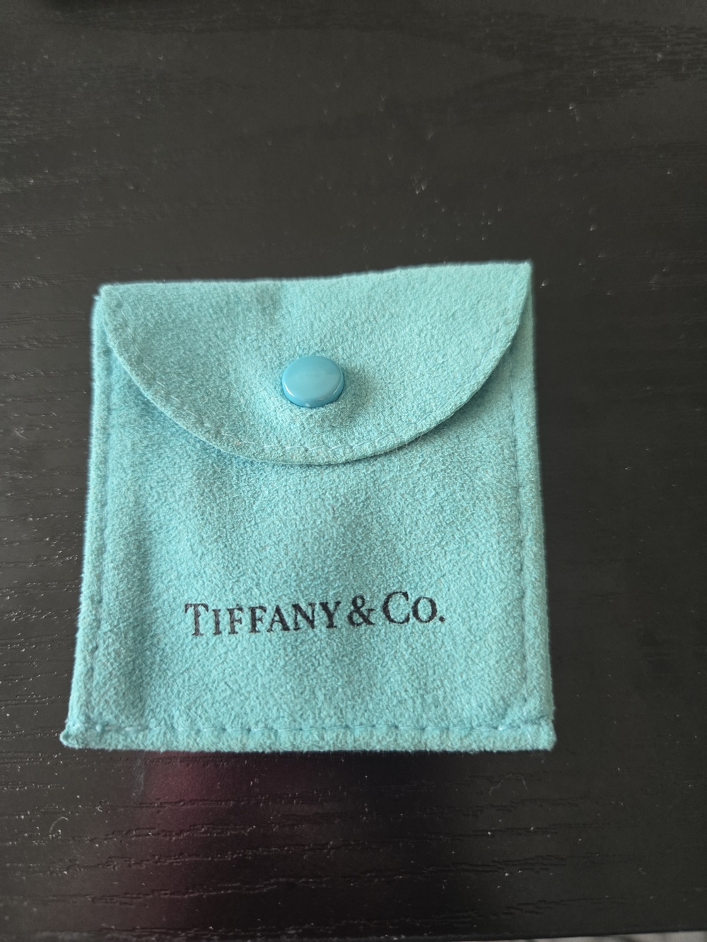 Tiffany & Co. Snap Pouch in Tiffany Blue
